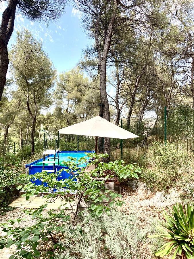 Maison De Charme Avec Piscine Et Jacuzzi Dans Cadre Exceptionnel Proche Marseille Mirabeau Dış mekan fotoğraf